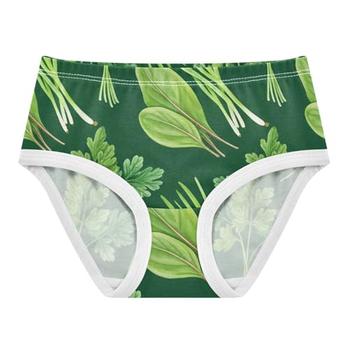 Fresh Green Herbs Parsley Vegetable Girls Underwear Toddlers 2t Cotton Panties for Girl Bright Underpants Briefs