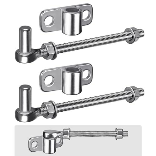 Insaga M12 Schwerlast Torscharnier 2er Set