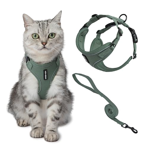 Image of Voyager Escape-Proof Step-in Lock Cat Harness & 5ft Neoprene-Handle Leash Set All-Weather Mesh with Reflective Stitching for Small to Large Cats by Best Pet Supplies, Moss Green (327), XS