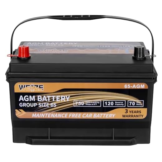Weize Platinum AGM Battery BCI Group 65 Automotive Battery, 12V 70ah, 120RC, 750CCA, 36 Months Warranty, Replacement for Car, SUV