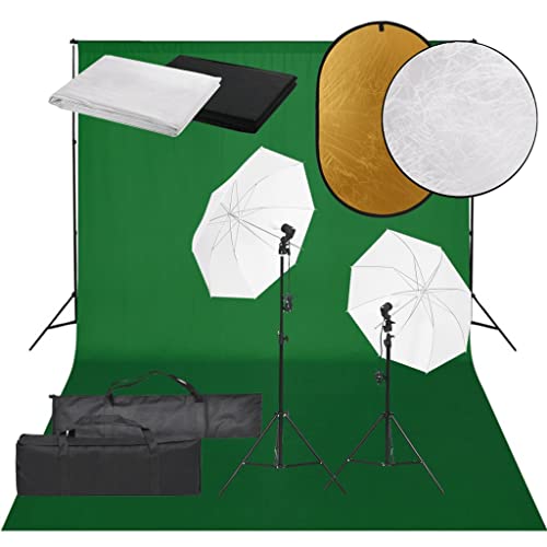 vidaXL Kit de Estudio Fotográfico con Set de Luces, Fondo y Reflector Soporte Pantalla Foto Video Sistema Lámparas Luz Iluminación Plegable