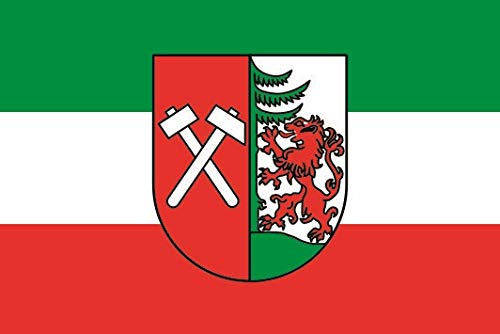 Drapeau de Lübtheen grand format pour remplacer un pavillon usé par le vent
