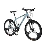 マウンテンバイク 26インチ 21段変速 MTB 自転車 ディスクブレーキ クロスバイク 泥よけ、空気入れ、ワイヤ錠のプレゼント付き 超高炭素鋼フレーム 荒野越え 通勤 通学