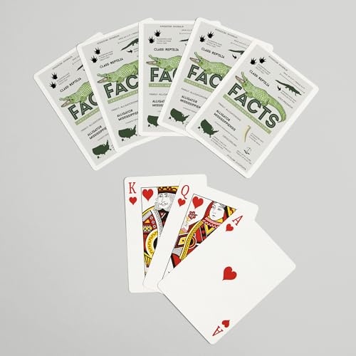 Lantern Press NAIPE Poker Facts About American Alligators miniatura 7