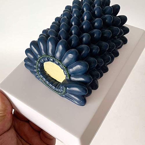 image for LXX Baculovirus Model Rabies Virus Anatomical Model Virus Structure An