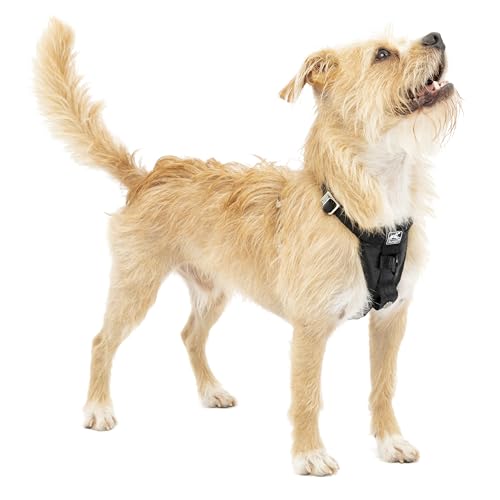 Kurgo Tru-Fit Hundegeschirr, Crash-Test-erprobtes Auto-Sicherheitsgurt, Für Hunde von 2 bis 5 kg, Größe S, Schwarz
