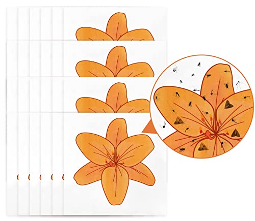 24 Pcs Fly Clear Window Fly Traps for Indoors, Sticky Fly Trap Fly Tape for Indoors Best Fly Killer Indoor Fly Trap, Sticky Fly Paper Strips Fly Catchers for Inside Home