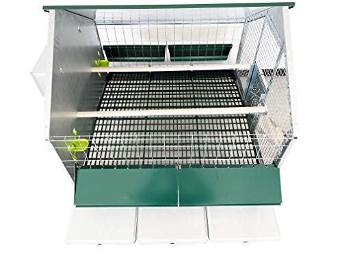 Pollaio da giardino per galline ovaiole - immagine 4
