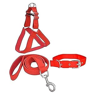 Smart Doggie® Combo Pack of Padded Chest Belt Breathable,Adjustable Neck Collar and Durable Rope for Your Pet Cats for All Breeds Small 0.75 inch Red
