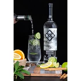 Brecon Botanicals Gin, 43 percent ABV, 70 cl. Award Winning Welsh Gin. Small Batch (Pack of 2) – Brecon Gin