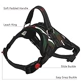 FYY Dog Harness No Pull, Breathable Adjustable Pet Vest, Reflective Oxford Easy Control Dog Harness with Sturdy Handle for Small Medium Large Dogs M-Camo - Image 3