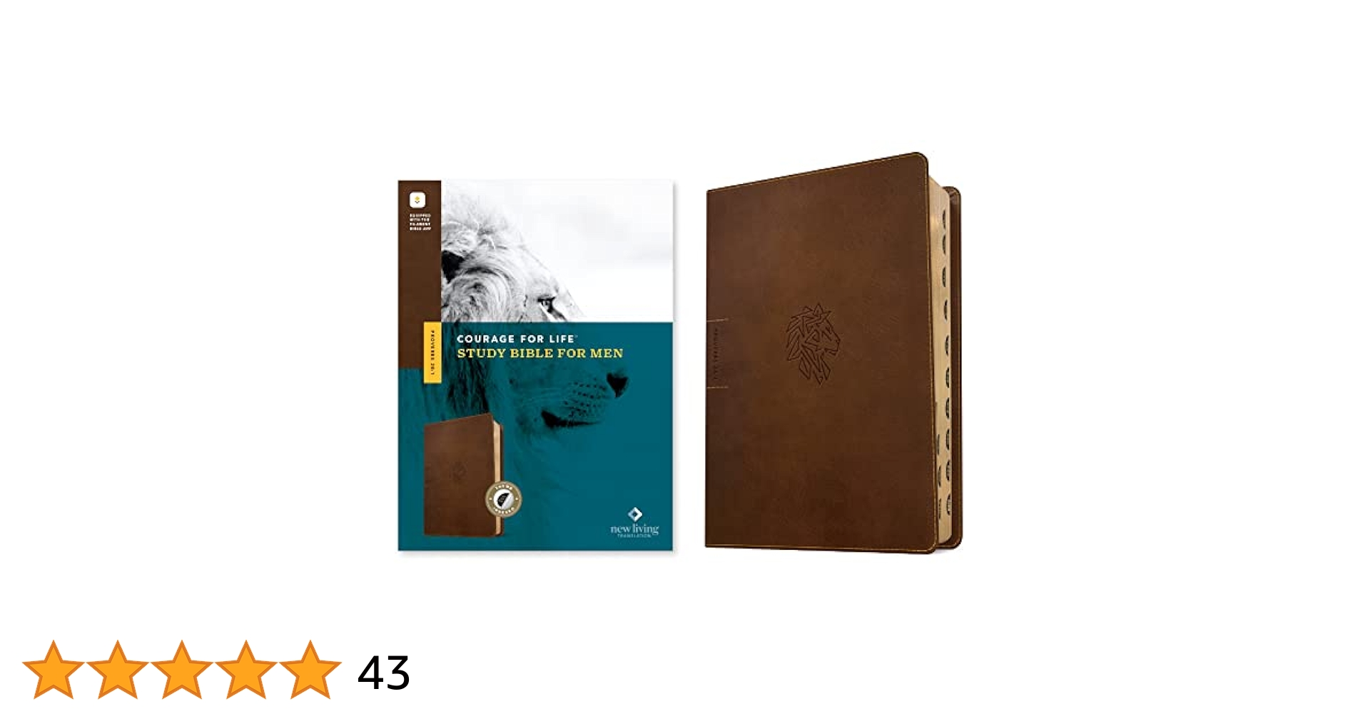 英語版　聖書　スタディーバイブル　New Living Translation NLT Courage For Life Study Bible for Men, Filament Enabled