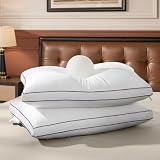 Canadian Luxury Goose Down Pillow King Size Set of 2 (White, 20"x30")