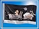 PHENO FLAGS Gute Nacht Flagge 60x90 cm - Extrem wetterbeständige Fahne mit Messingösen, 100% Polyester, robuste Doppelnaht & in lebendigen Farben - Schlafenszeitfahne zur Kinderzimmerdekoration