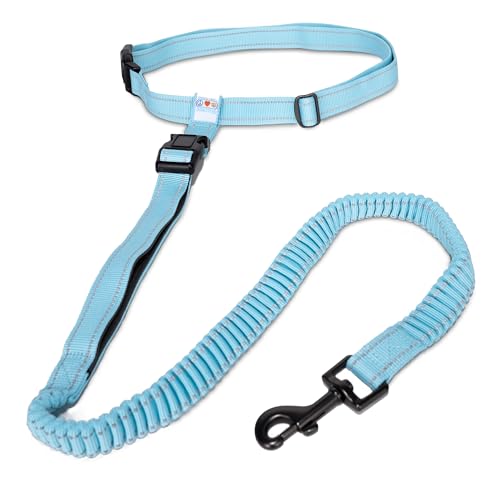 Pawtitas Hands Free Dog Leash Running Leash for Dogs, Teal