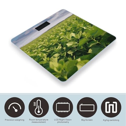 Báscula digital de baño Smart Scale vidrio templado miniatura 3