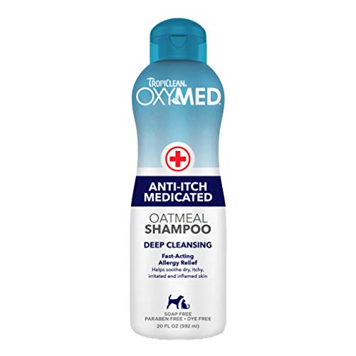 Best Vet S Anti Itch Shampoo Petco
