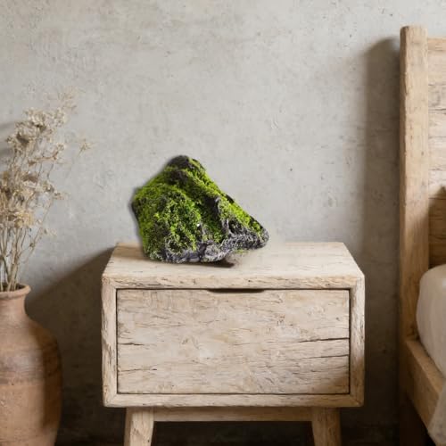 Pierres décoratives de qualité supérieure pour intérieur chic et terrarium