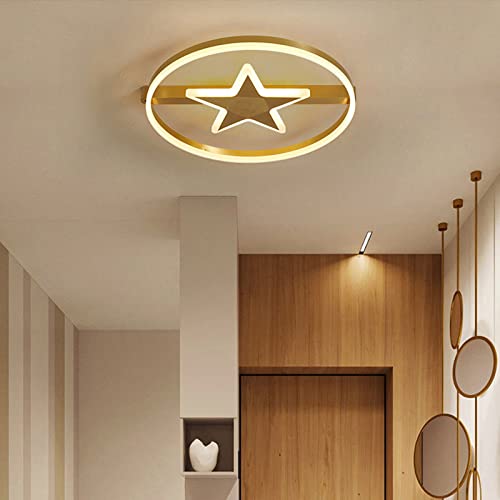 Plafonnier moderne simple en cuivre à intensité variable salon - 2