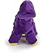 goDog Just For Me Dinos Bruto Squeaky Plush Dog Toy, Chew Guard Technology - Purple, Mini