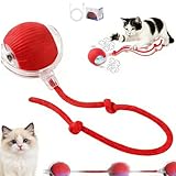 Vibbang Interaktives Katzenspielzeug Selbstbeschäftigung, 3 Modi Katzenball Elektrisch, Katzenspielzeug Elektrisch mit Vogelgesang und LED Licht, 360 Pet Ball für Katzen Hunde, Katzensprint Ball