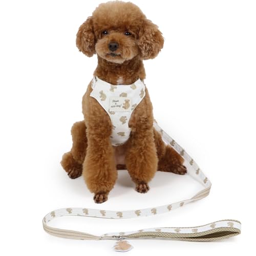 ybgp_CX   H n[lX  ܂ X n[lX[h Sr 027-35300