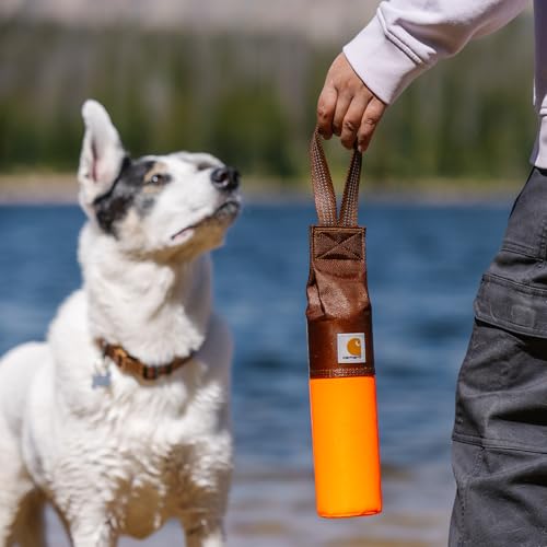 Carhartt Pet Pet Toys, Retrieving Bumper, Large, OS, Hunter Orange