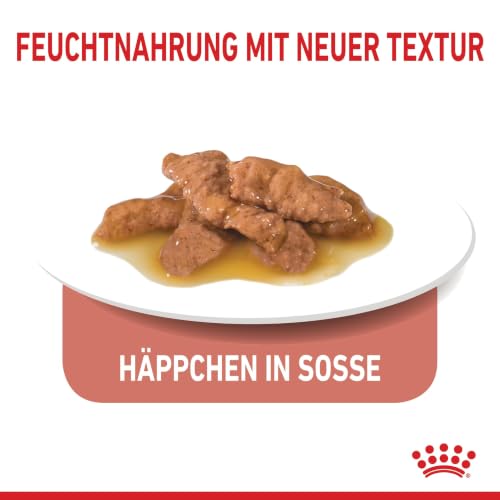 ROYAL CANIN Indoor in Soße Feuchtnahrung für Katzen – 12 x 85g