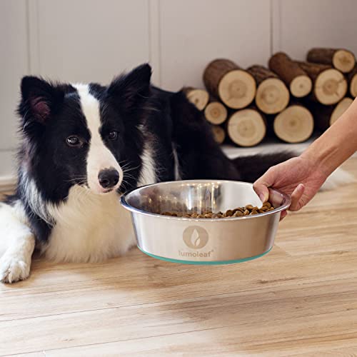 Lumoleaf Dog Bowls Large Stainless Steel 100Oz/13Cups Water And Food Bowls, Non Slip Pet Feeder Dishes With Rubber Bottom, Pet Bowls For Medium And Large Dogs #TOP6