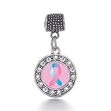 Inspired Silver - SIDS Awareness Ribbon - Silver Memory Charm for Women - Circle Charm Jewelry Gift with Cubic Zirconia - Women's Charm for Bracelets