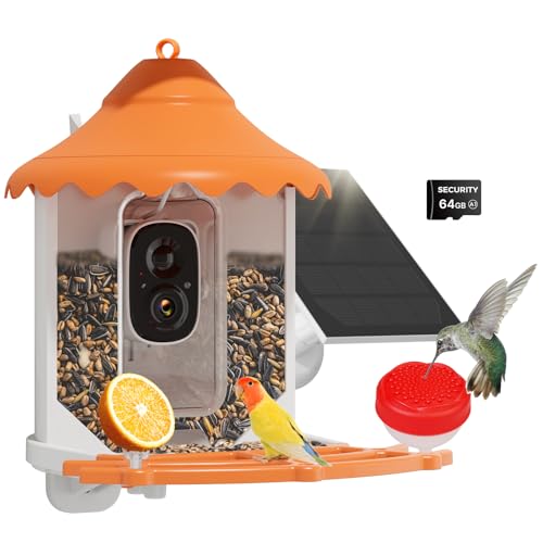 Hiseeu 3MP Feeder with Camera, 2.5L, AI Identify 11000+ Species, Solar Powered, Auto Capture Bird Videos & Motion Detection, Smart Bird Watching Camera Wireless Outdoor (Orange-64G)