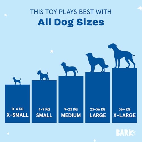 Image of BarkBox Pearl Squirrel