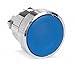 Pushbutton, Blue, 22 Mm