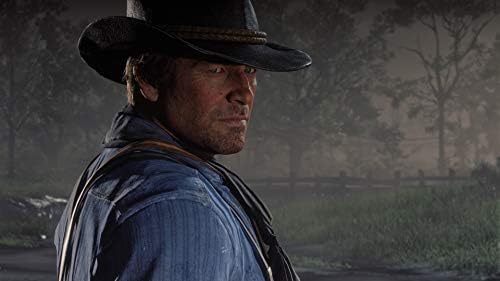 Red Dead Redemption 2 - PC [Online Game Code] - 2