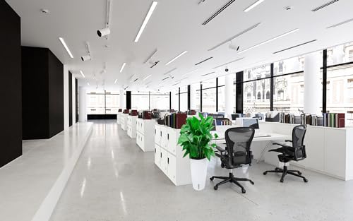 MECOLOR Schließfach für Mitarbeiter, Metallspind für Büro, Fitnessstudio-Schließfächer, abschließbares Stahl-Schloss für zu Hause … (6D, vollweiß)