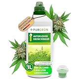 Purgrün