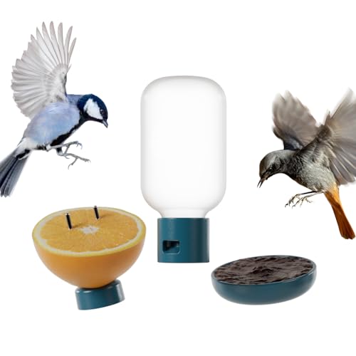 Birdbuddy 3-in-1 Nutrition Set - Outdoor Bird Accessories with Water Fountain, Fruit Spike & Jelly Tray Feeder - Durable, Easy Attachment for Bird House
