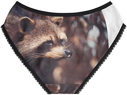 North American Raccoon Panties, North American Raccoon Underwear, Briefs, Cotton Briefs, Funny Underwear, Panties For Women