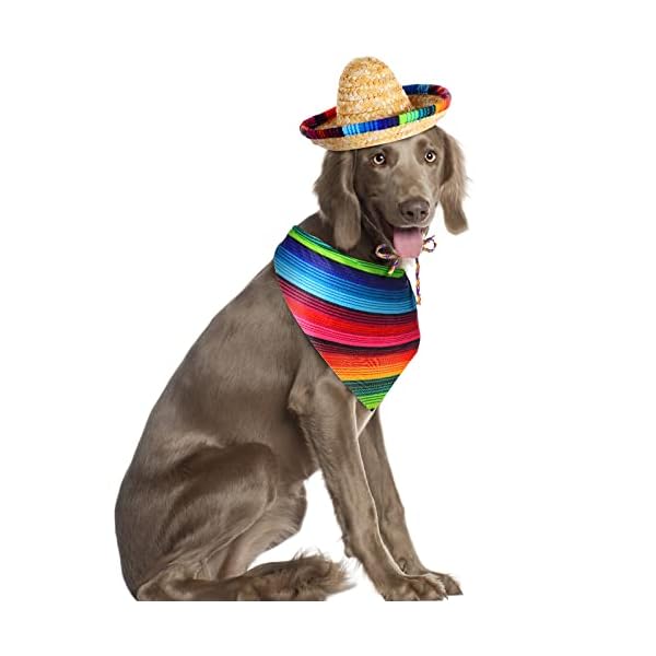 Dog sombrero hat multicolor sombrero hats straw mexican hat and dog bandana pet triangle bib costume for mexican cinco de mayo fiesta decorations - image 7