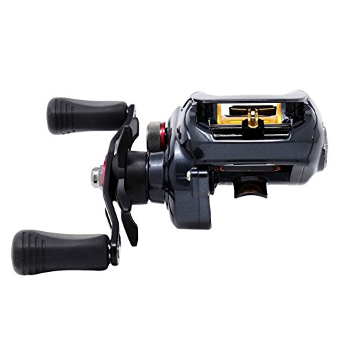 ダイワ リール タトゥーラ 100SH-TW 4枚目