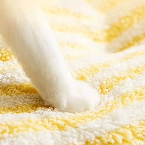 Maison polyvalente animaux : niche résistante aux intempéries - 8