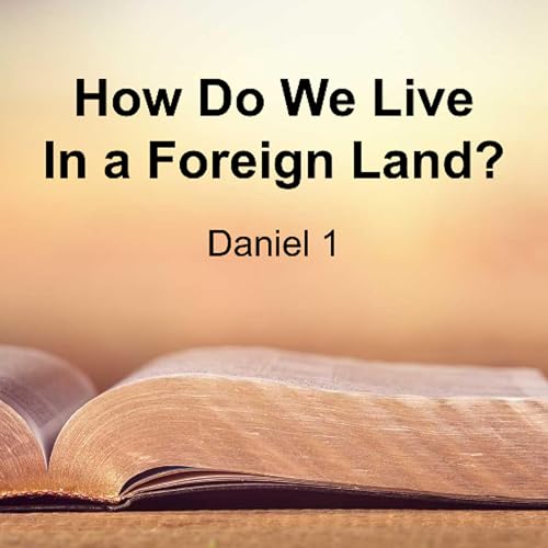 How to Live in a Foreign Land?