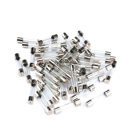Fusibles en verre rapide 5x20 250V 0.5A pour tube de rechange cartouche électronique 100 unités
