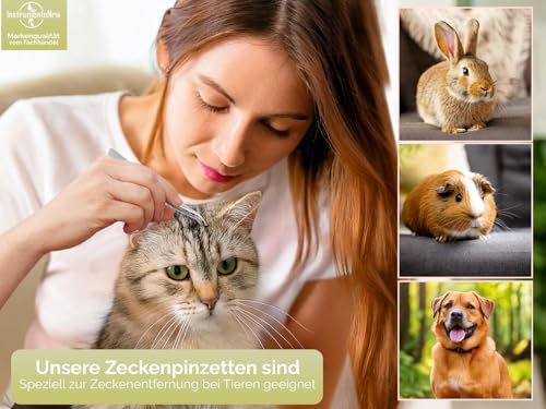 InstrumenteNrw Zeckenzange für Hunde Zeckenpinzette Katze Edelstahl Rostfrei Pinzette Silber für die Zeckenentfernung bei Haustieren 11,5 cm