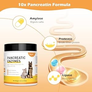 88-Ounces-Pancreatic-Enzymes-for-Dogs-10x-Pancreatin-Dog-Digestive-Enzymes-Powder-for-EPI-Helps-Restore-Normal-Weight-Supports-Pancreatic-Issues-and-Relieves-Digestive-Stress - Cucciolini Doodles   88-Ounces-Pancreatic-Enzymes-for-Dogs-10x-Pancreatin-Dog-Digestive-Enzymes-Powder-for-EPI-Helps-Restore-Normal-Weight-Supports-Pancreatic-Issues-and-Relieves-Digestive-Stress