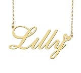 Aoloshow Lilly Name Necklace Heart Charm Pendant 18k Gold Plated Stainless Steel Jewelry for Womens Graduation