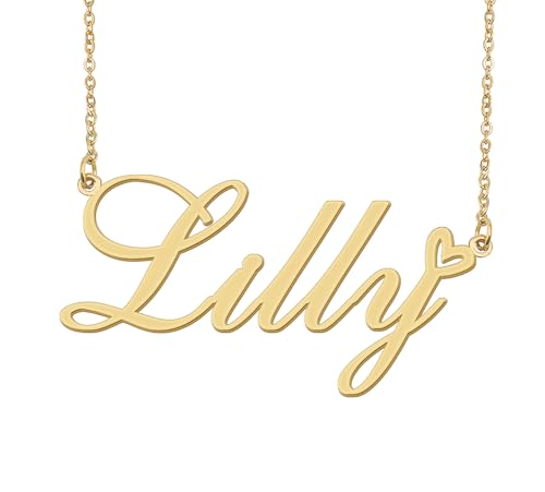 Aoloshow Lilly Name Necklace Heart Charm Pendant 18k Gold Plated Stainless Steel Jewelry for Womens Graduation