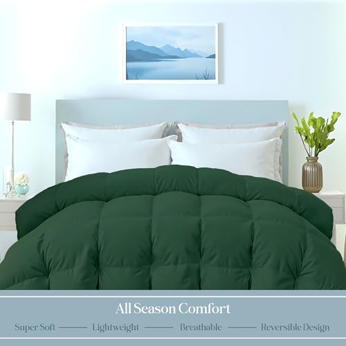 Image of ROYALE LINENS Comforter - Full Size Duvet Insert - All Season Soft Quilted Comforters with 8 Corner Tabs - Down Alternative Bedding Comforter - Box Stitched Duvet Insert (Green, Full 82 inchx86 inch)