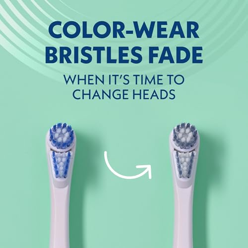 Spinbrush New PRO Clean Battery Powered Electric Toothbrush の商品画像 6