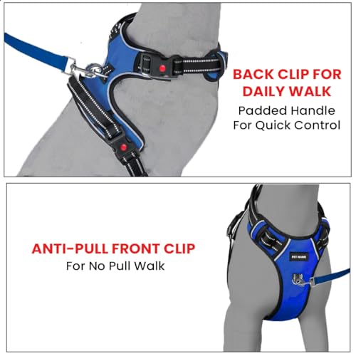 Image of No Pull Dog Chest Belt Harness, Comfortable & Adjustable Size for 14-23 Kg Pet (Blue, Medium)